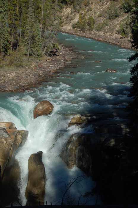 Sunwapta Falls